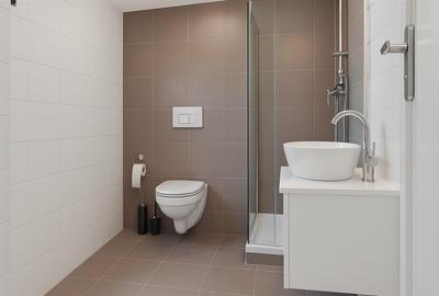 Vila eleganta   Iancu Nicolae   proximitate padure - 23