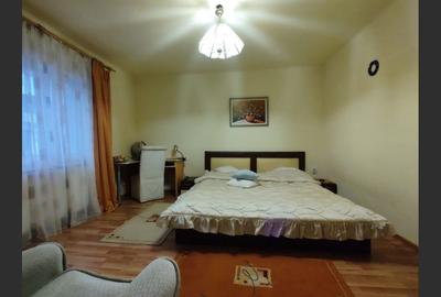 Casa cu mansarda, 7 camere, anexe, Sanmartin - 12