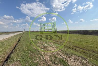 Teren intravilan 2500 mp, Bucovat - 1