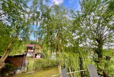 Inchiriem cabana in Calimanesti (Seaca), cu ponton la Olt, gradina - 10