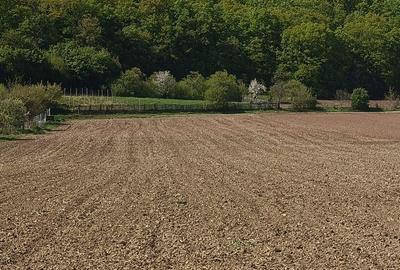 Teren agricol intravilan de 1600 mp, în Ampoița