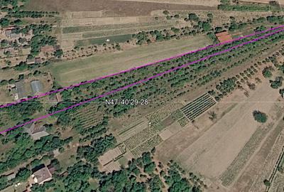 Teren Construcții intravilan de 4200 mp, în Viile Satu Mare