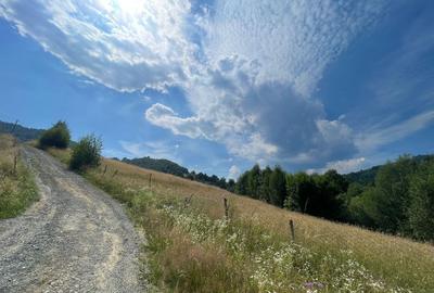 Teren intravilan I Loc deosebit, inconjurat de padure I Vladeasa - 1