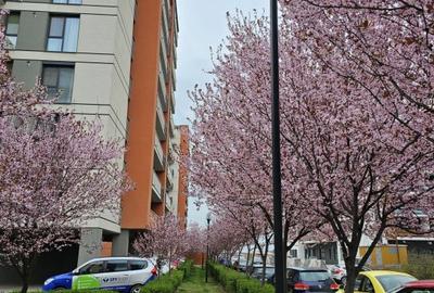 Apartament nou,ocupabil imediat.Dezvoltator. - 2