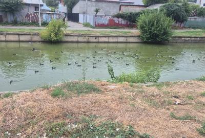 Teren Colentina - Maior Bacila - Canalul Colentina - 8