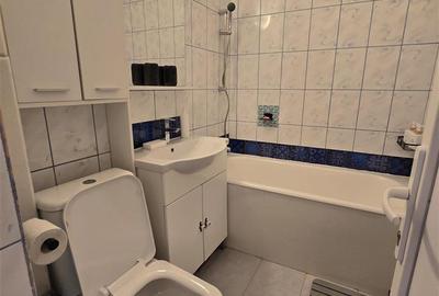 Apartament 2 SD parter balcon mare-gradina - 7