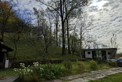Vila Bughea de Jos - Campulung - 6
