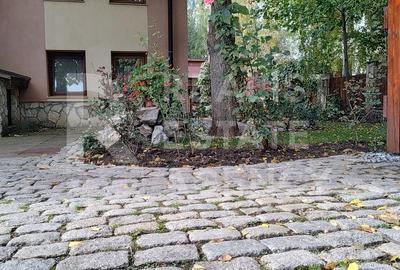 Vilă individuală 430 mp utili, teren 2.000 mp, Iași - 23