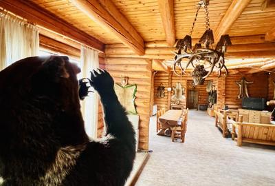 Cabana vânătorească din lemn cu vedere spectaculoasa, langa Castelul Cantacuzino - 9
