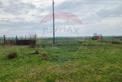 Teren intravilan in  Sebis 5000 mp / Strada Ciutariei - 1