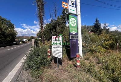 Teren zona Nord/ 6000 mp - 1