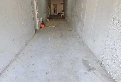 Apartament demisol 201 mp nefinisat+ 85 mp curte proprie - 9