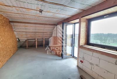 Casa individuala de vanzare la rosu cu teren generos, Seceani - 9