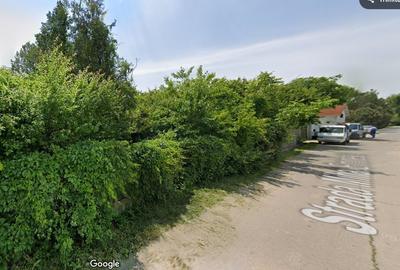 Izvorani | Deschidere la Lacul Snagov | Aparare de mal - 4