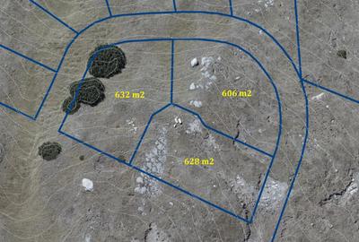 Bucegi zona alpina Ski Resort Padina Pestera - 1