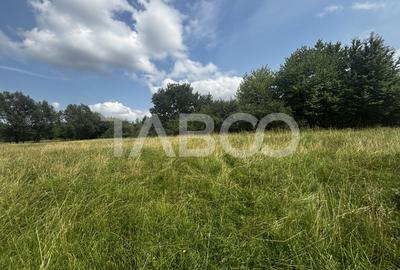 OPORTUNITATE investitie Teren de vanzare 3100 mp intravilan Cisnadie - 4