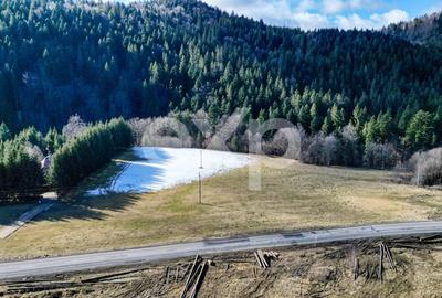 Teren extravilan 19.200 mp – DN1A Săcele, Brădet | Front stradal 130 ml - 1