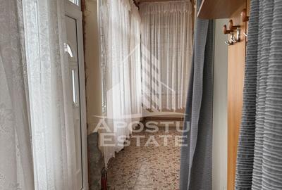 Casă unifamilială în Remetea Mare  cu teren de 3383 mp. - 4