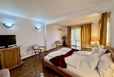 Hotel 20 camere Delta Dunarii 50 m deschidere teren 6000 mp acces auto - 15