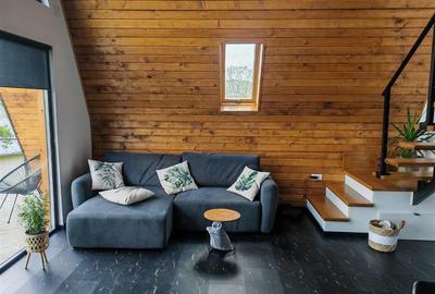 Casa A-Frame de vanzare | Valea Doftanei, Tesila | Constructie 2024 | Teren 627 - 20