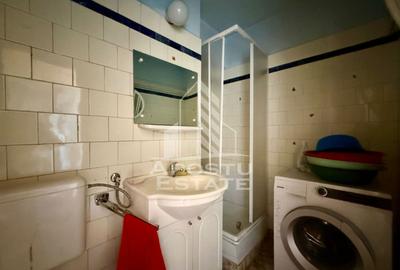 Apartament 3 camere de vanzare zona Iosefin Gara Timisoara - 13