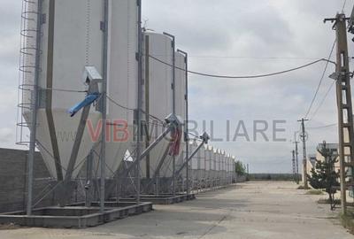 *Fermă modernă pentru export miei | 6 ha | Standarde europene | Aproape de Brăil - 6