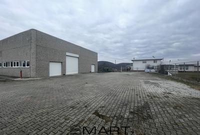 Spațiu industrial, de 1,000.00 mp, în Șelimbăr