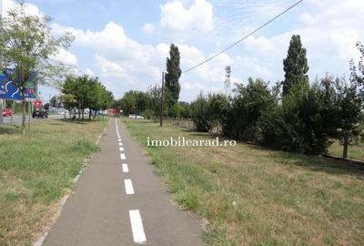 Teren 18.400 mp cu 4 hale P+E pe Artera principala vizavi de Metro-Momax - 6