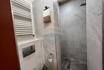 Penthouse cu 5 camere si terasa cu view de inchiriat in Grigorescu - 29