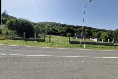 Vând teren extravilan Transfăgărășan - 3