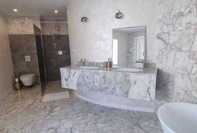 PIPERA IANCU NICOLAE VILA LUX RENOVATA COMPLET 2022 - 46