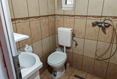 Casa 4 camere libera la vanzare, pozitie deosebita VULCAN - 26