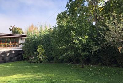 Premium residence with private garden, Timpuri Noi metro, central Bucharest - 8