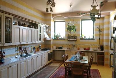 Casa impresionanta de vanzare Cotroceni, teren 680 mp, renovata, garaj dublu - 10