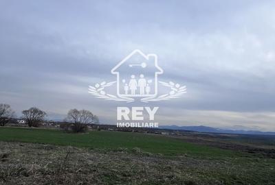 Teren Arabil Turnișor - Spre ferma de pui - 3