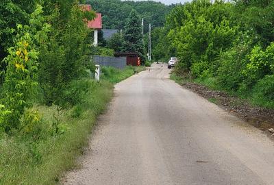 Teren Snagov – frumusețea calmă a lacului și liniștea pădurii. - 1