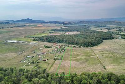 Teren Construcții extravilan de 22700 mp, în Hărman