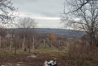 Casă bătrânească cu teren in Tomești - 3