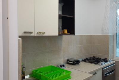 Apartament Dristor, stradal, 4 minute de metrou, mobilat si utilat complet - 7