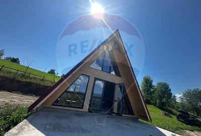 Casă de vacanță + 17.490 mp teren – zonă turistică Transapuseana - 1