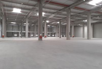 Spațiu industrial, în Theodor Pallady