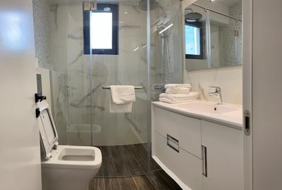 Penthouse 5 camere PIATA VICTORIEI - 9