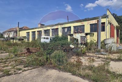 Spațiu industrial 15435 mp. de vânzare in Tinca. - 10