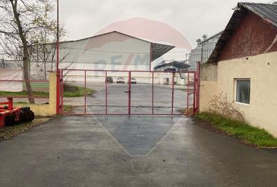 Teren Strategic in Lumina - deschidere la 3 strazi - langa Baza Nato - 4