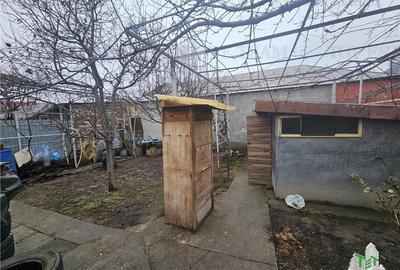 Casa individuala 3 camere, curte libera 225 mp, zona Piata Resita - 22