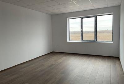 Hale de vanzare 600 mp ,Soseaua de centrua Chitila - 11