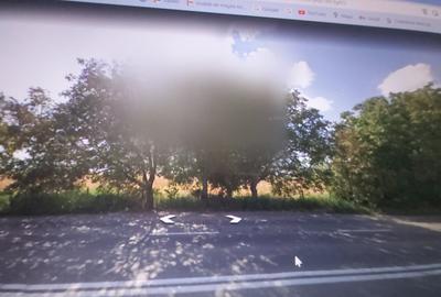 Teren intravilan de vanzare 45000 mp, Focsani,  deschidere 138 ml stradal - 16