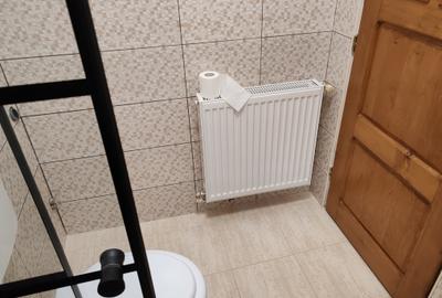 Garsoniera confort sporit, renovata zona Piata Tractorul - 9