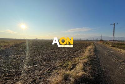 Teren de vanzare in zona Soseaua de Centura, 2.5 HA - 1