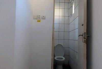 Basarabia-Chisinau, depozitare/birouri/activitati diverse, 100 m.p. - 14